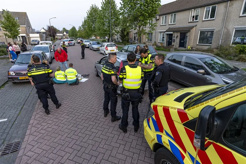 download scaled 1000x1000 86395