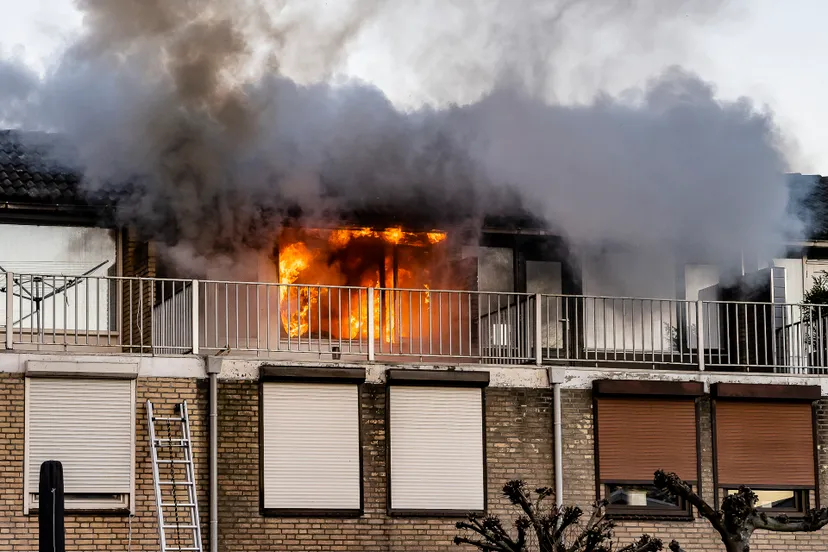 jack brekelmans 20211221154234 1