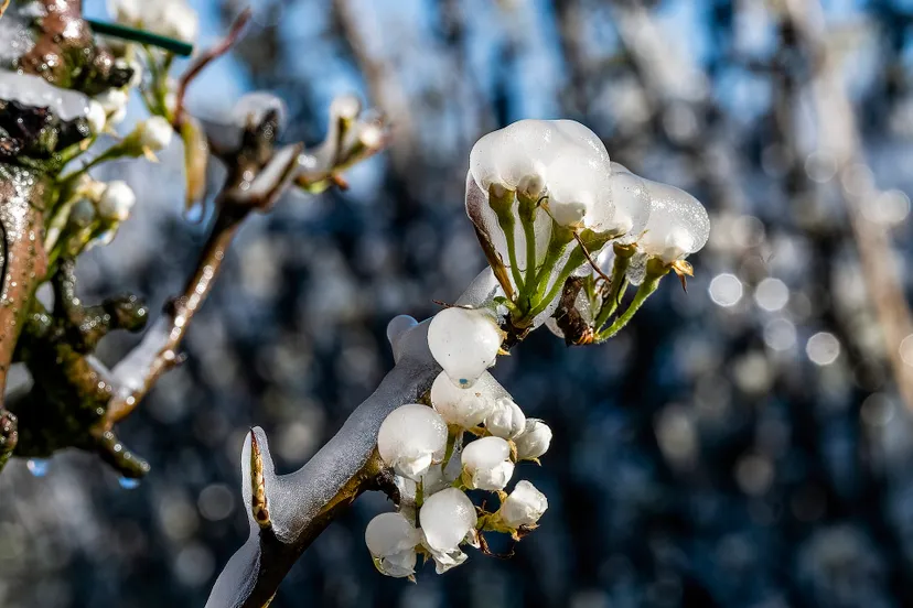 jack brekelmans 20220403095403 4