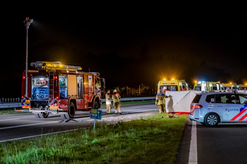 jack brekelmans 20220508015625 4