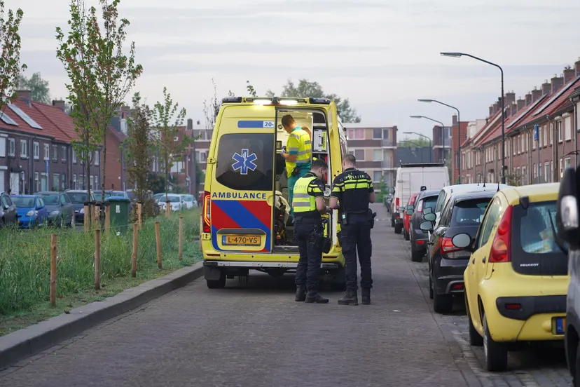 jeroen stuve 20230506045328 0