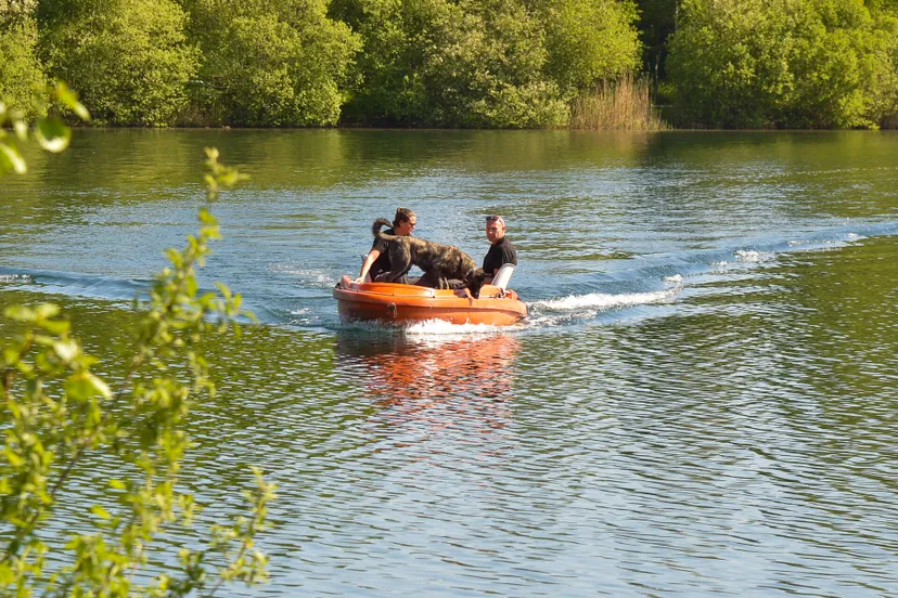 perry roovers 20220509091158 0