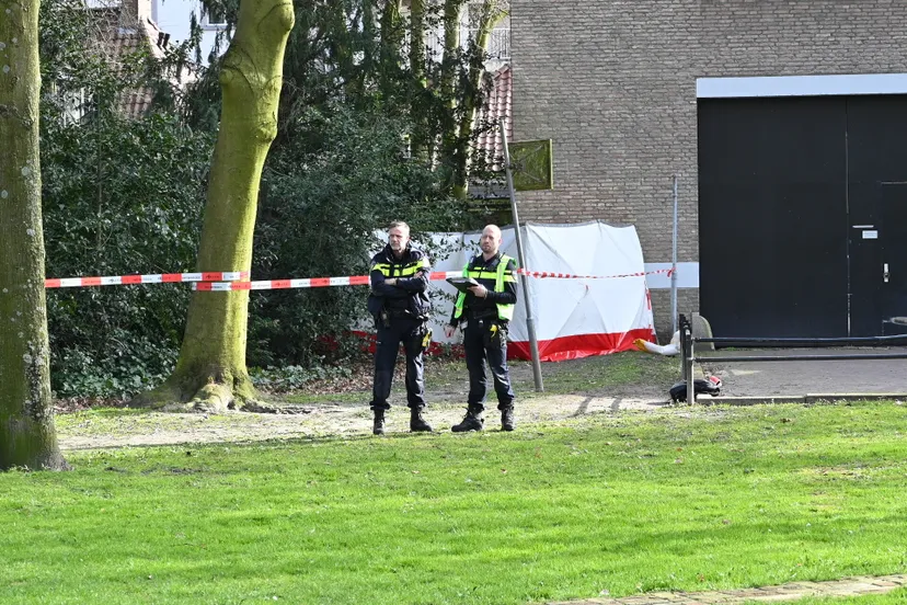 perry roovers 20230404151519 3