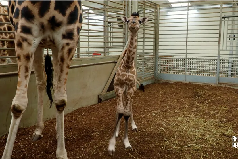 schermafbeelding 2021 12 07 om 155235