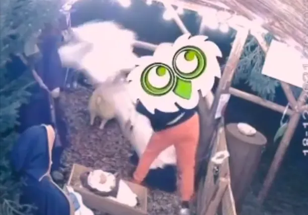 schermafbeelding 2021 12 20 om 131307