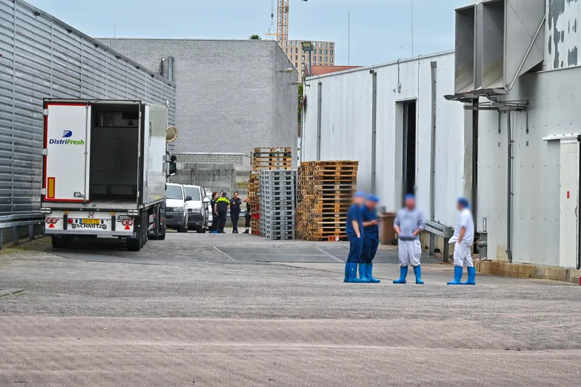 toby de kort 20220610065343 0