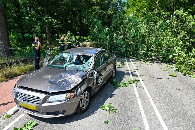 toby de kort 20220729155100 0 edit