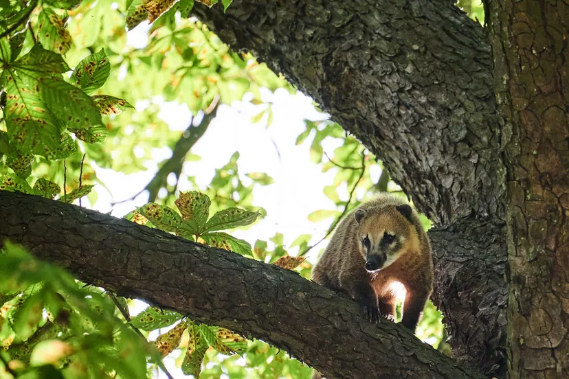 tom van der put 20220706090044 0