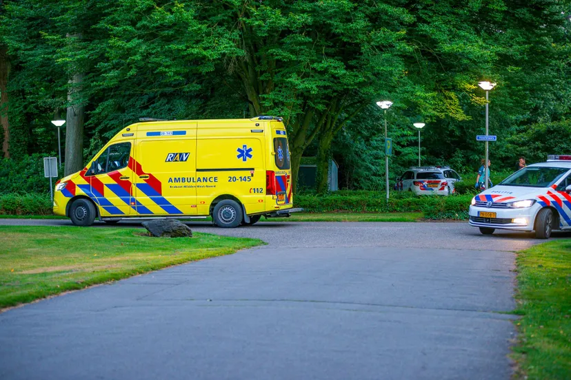 20240808 steekpartij halsteren 2 edit