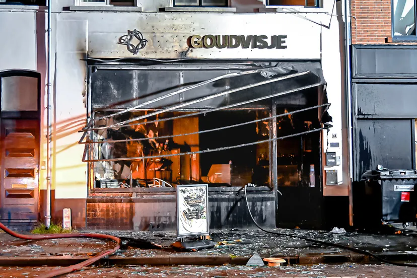 perry roovers 20240821040606 5