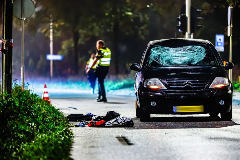 20241019 bms 9023 nef