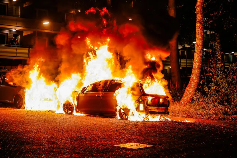 20241024 bms 0733 nef