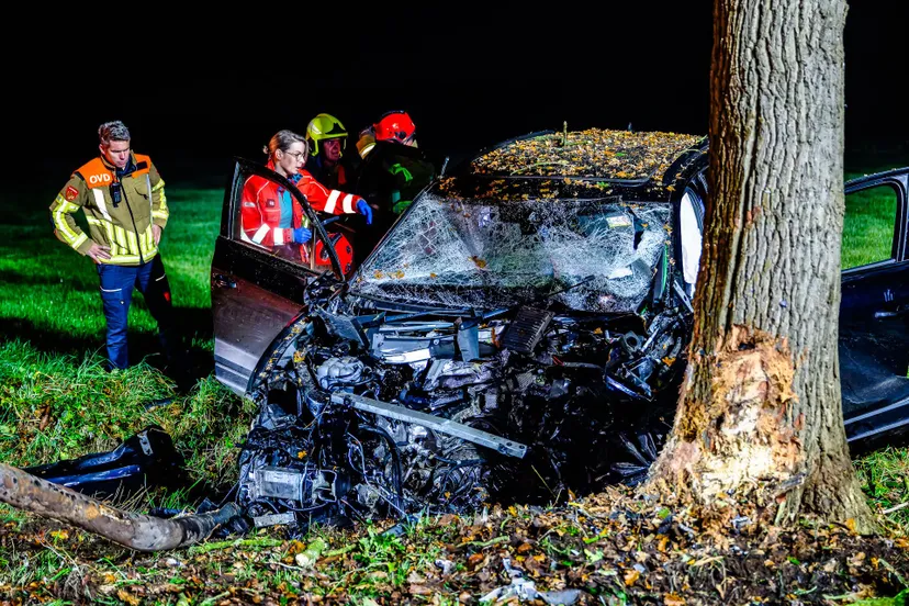 20241104 bms 6452 nef