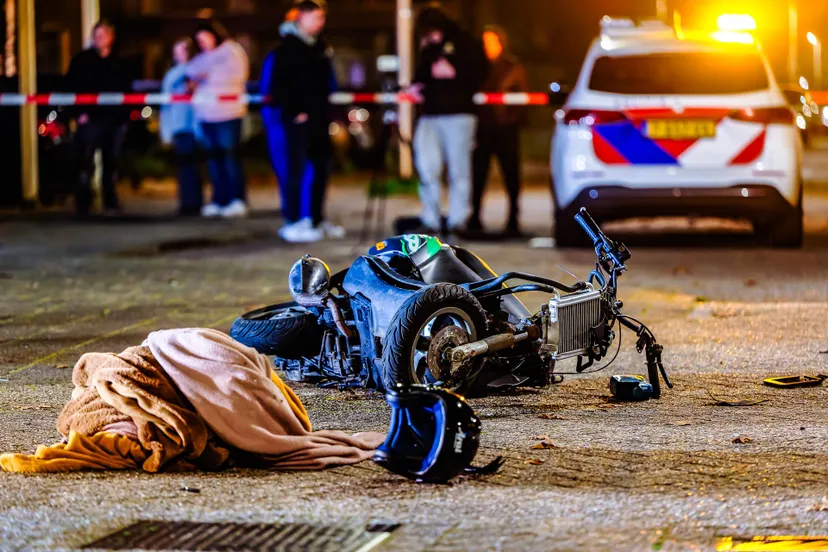 20241107 bms 6510 nef