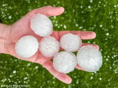 494575803 1287600956311136 3639311853709265718 n