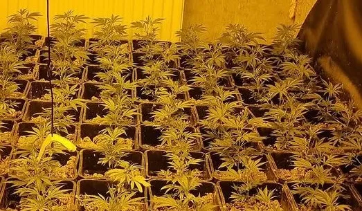 517122683_18068117771015047_7078325448919747362_n