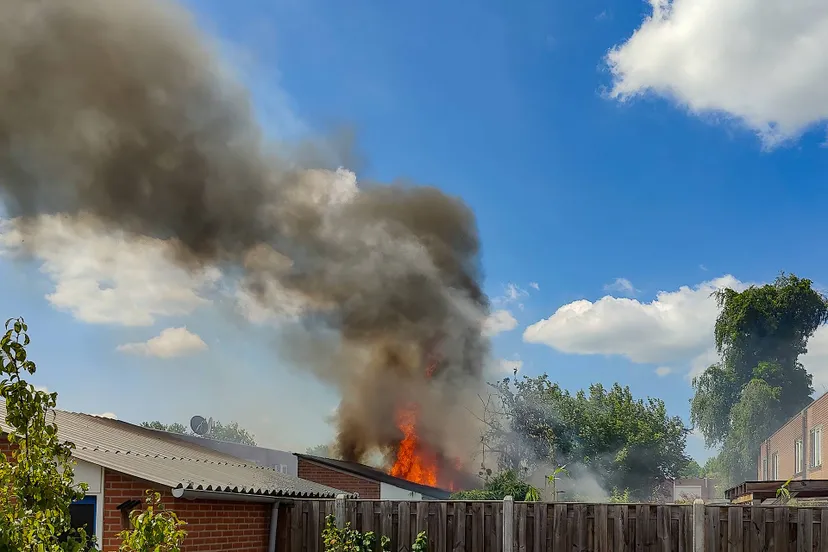 IMG20250710134321-Edit