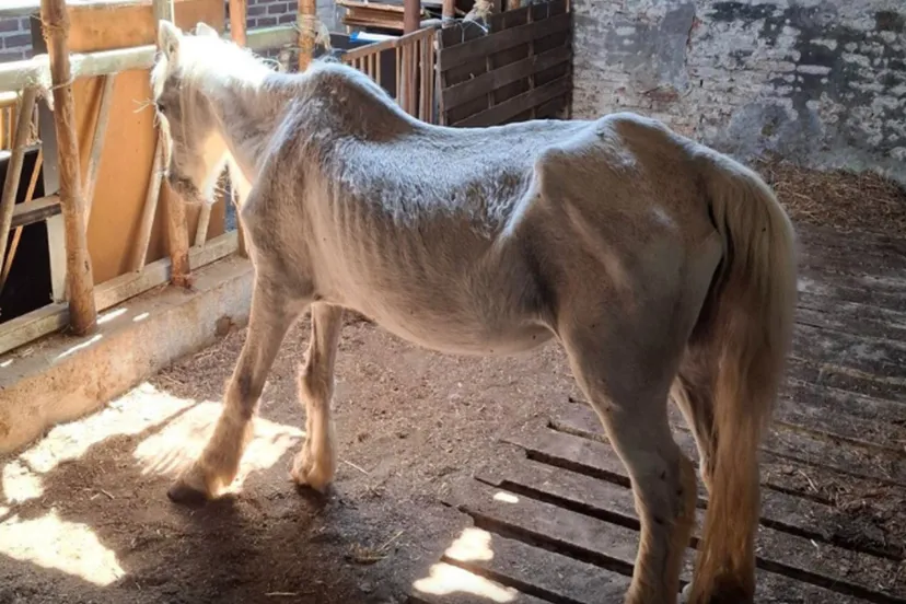 Scherm­afbeelding 2025-07-09 om 16.15.45