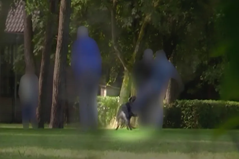 Zembla_videostill_hond_schop