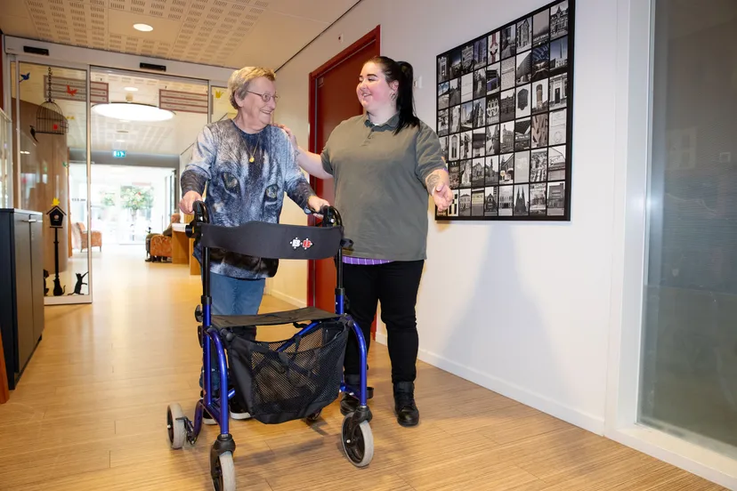 hulpkrachten prins heerlijk