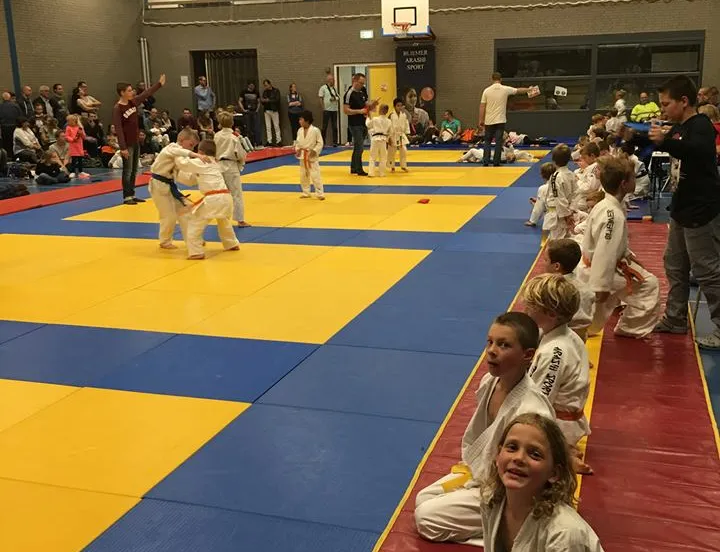 judo 11