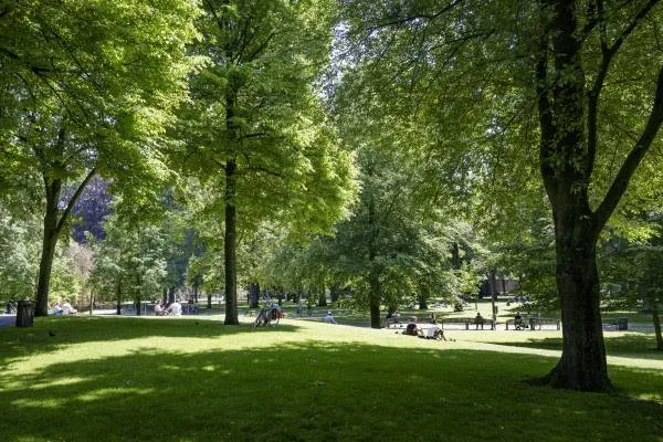 unnamed 2025 04 17t021246738