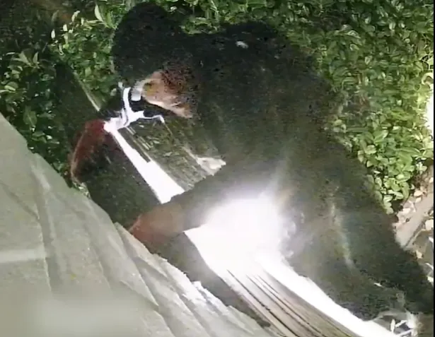 politie2018imageset_genericlandscape (1)