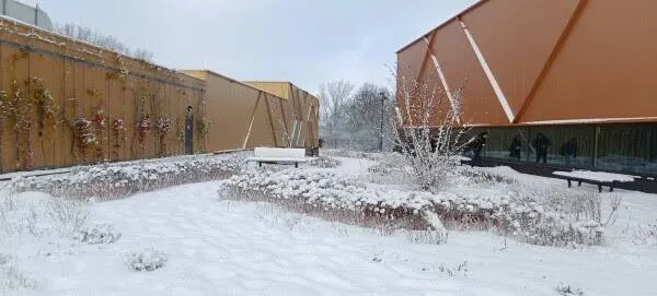 unnamed - 2026-01-08T151001.821