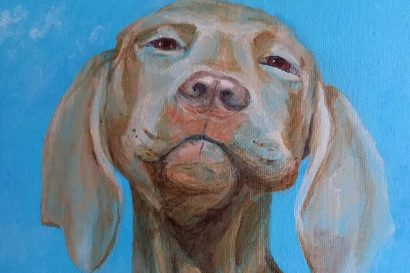 MiriamTanke-schilderij-hond