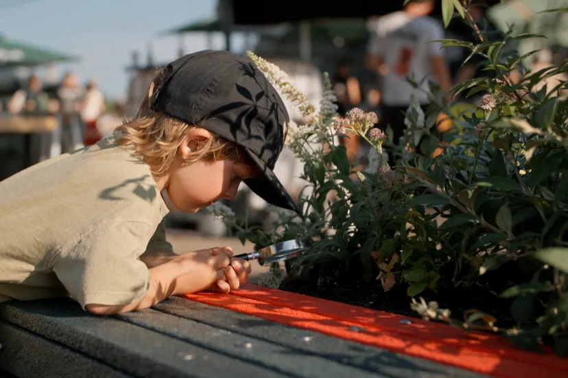 The Green Submarine duikt op ... Wildgroei Festival 2026