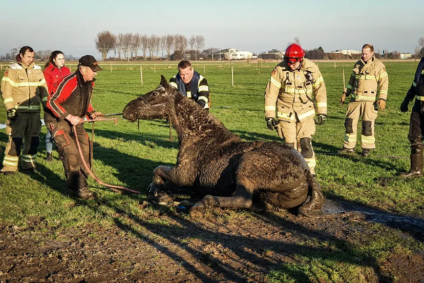20200207 nieuwsfoto castricum 2