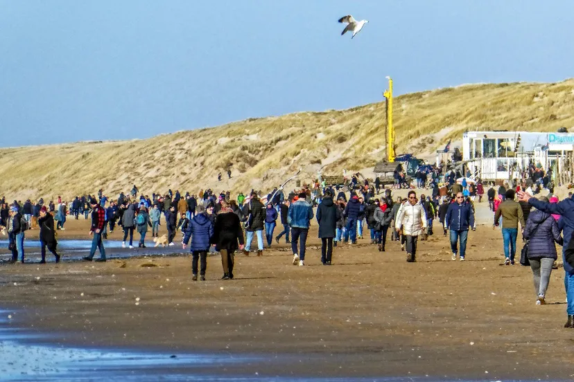 20220227175120 copy 1224x923