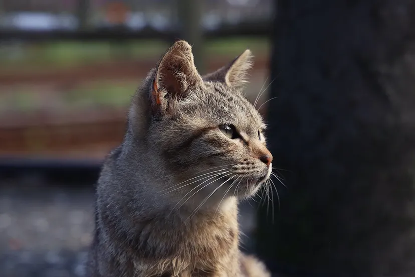 de an sun ym4mgblrm4y unsplash