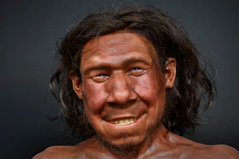 doggerland verdwenen wereld in de noordzee 33 krijn