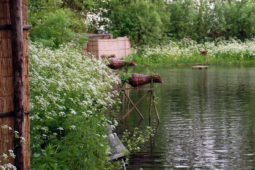 eendenkooi vd eng lnh 1500