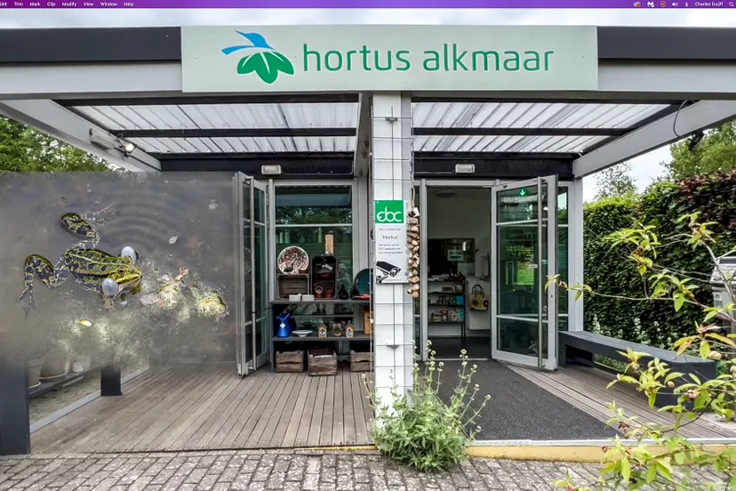 hortus kikker