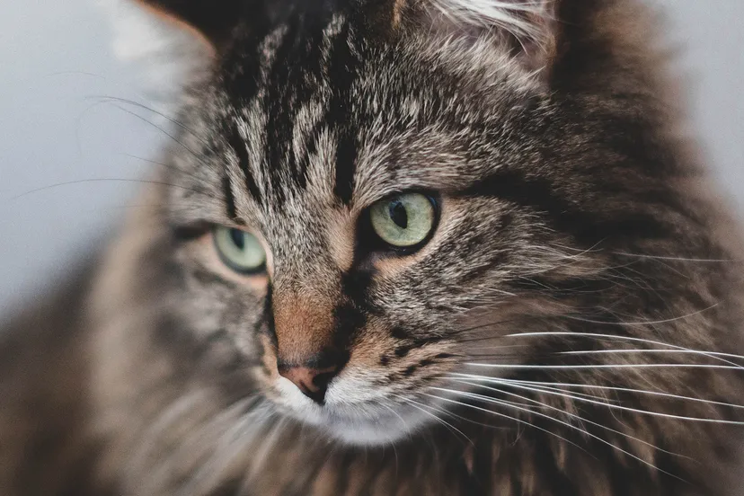 jonathan cooper dym6tssgjgm unsplash