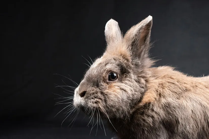 nikolett emmert bjrwc4ryare unsplash kopieren