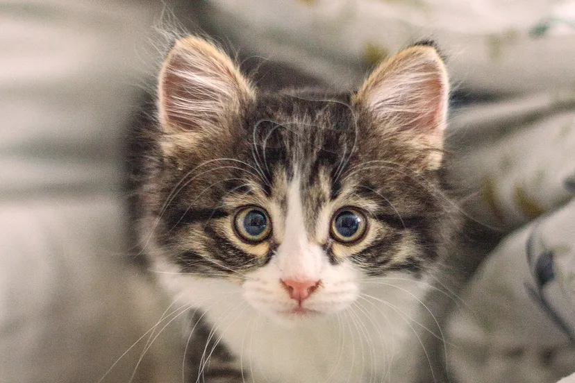 timur m saklelg po8 unsplash kopieren