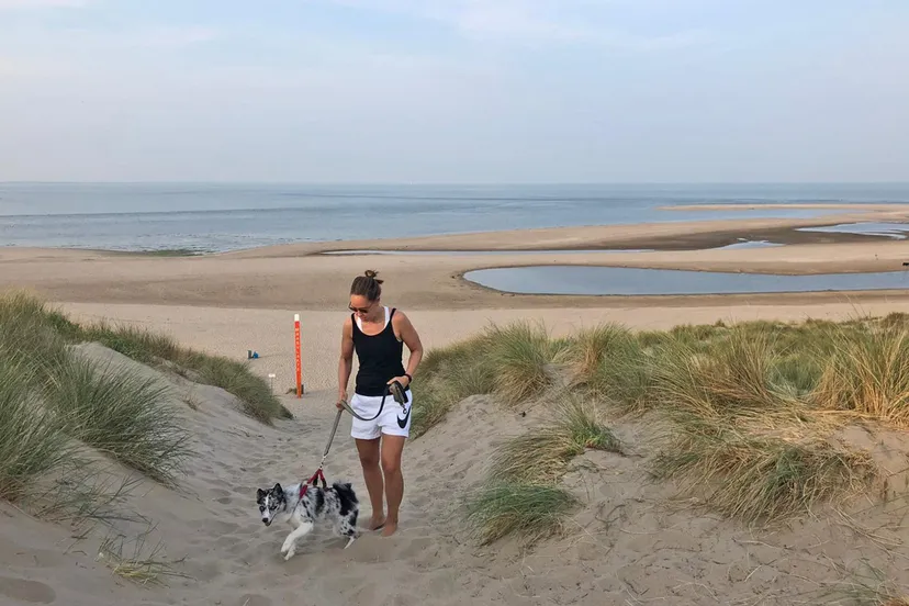 wandelaar met hond in de duinen door philo van lenning