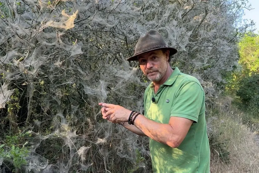 whatsapp image 2023 07 08 at 154206