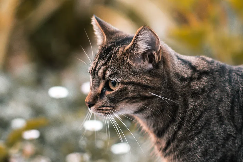 zane lee fat0wpdpgrg unsplash