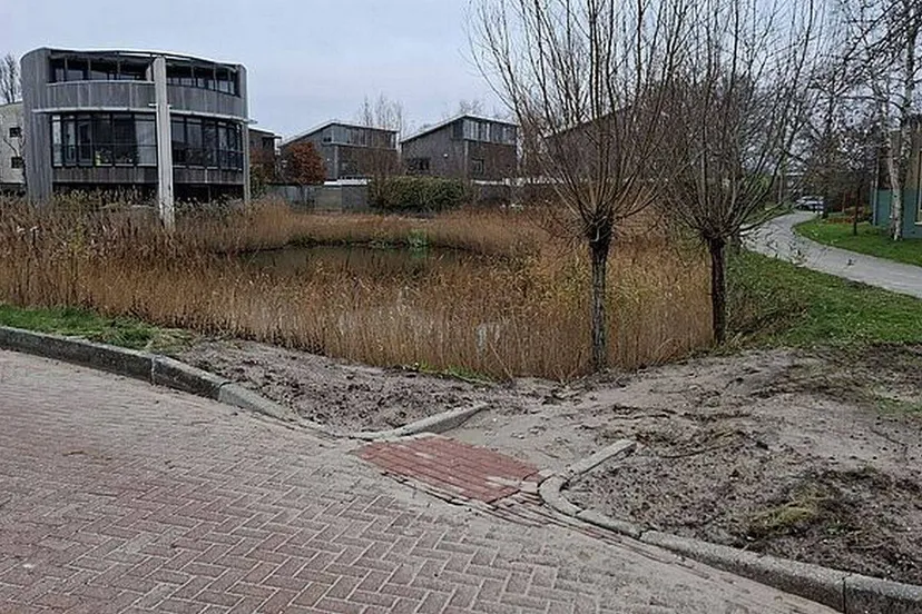 csm 13 02 2025 paddentrek foto 3 castricum sokkerwei dee9f6507c