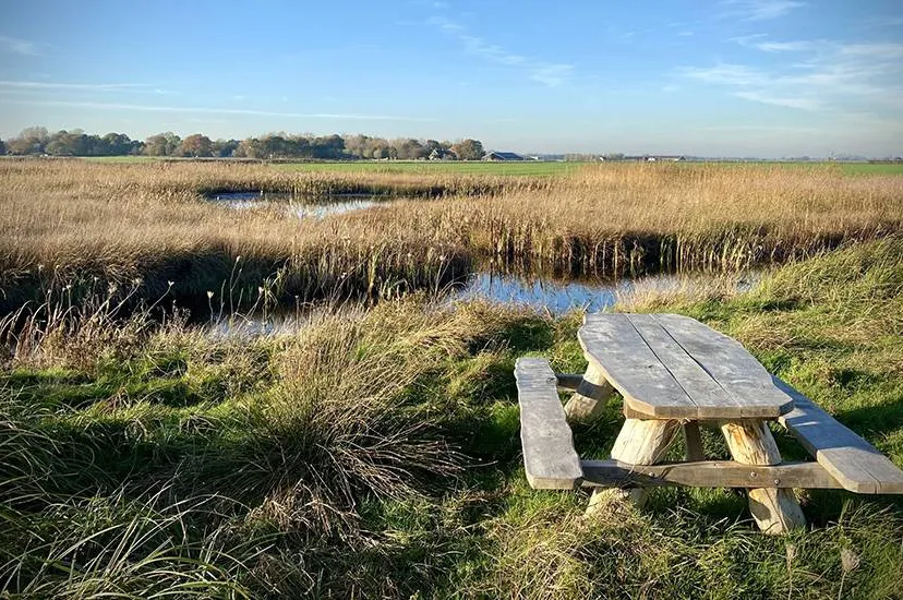 928x550 Provincie investeert in natuur Zuurvenspolder bij Bergen (1)