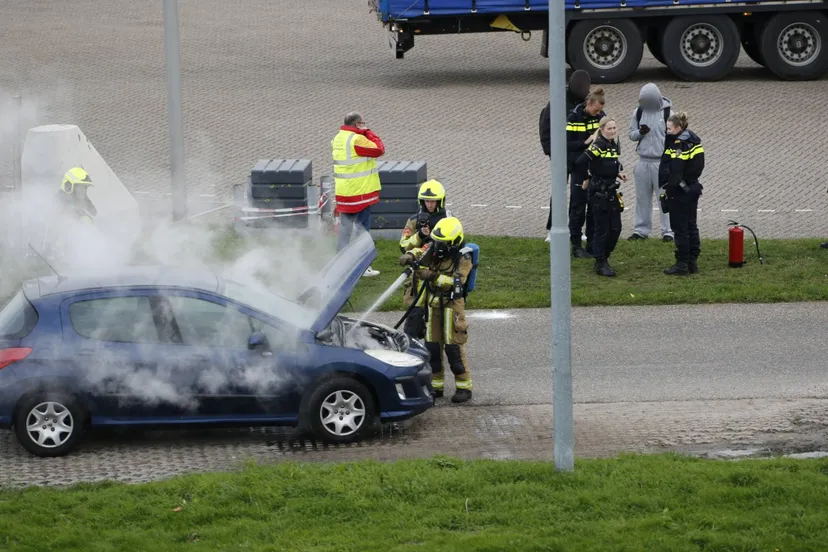 Point Blur_Nov102025_155943_resized