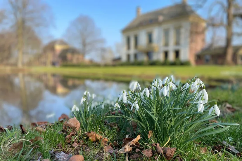 Sneeuwklokjes, vijver, huis en koetshuis