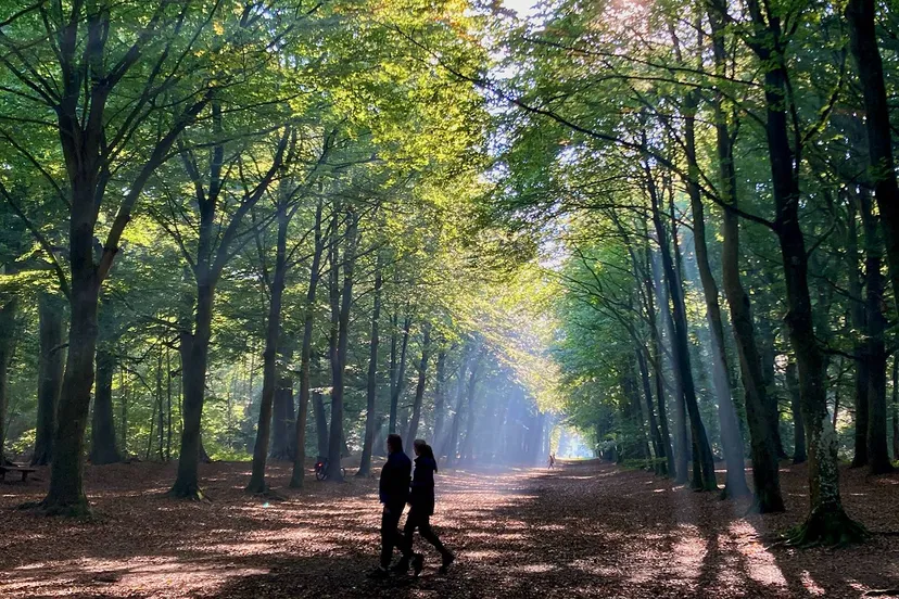 Wandelaars op zichtas liggend kopie