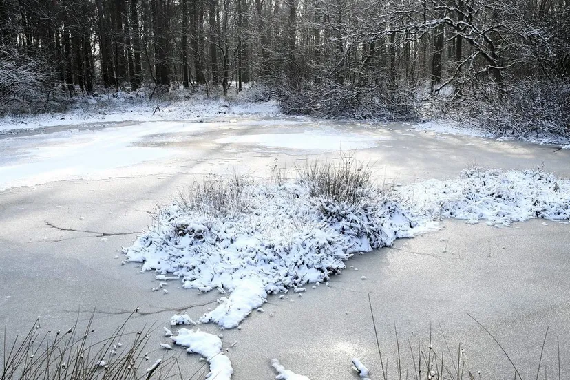 10400 20190123 achtmaal jst9981 3712x5568