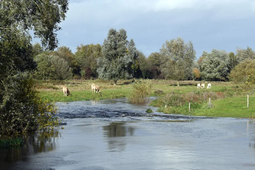 105344 20231028 strijbeek jst0701 8256x5504 klein