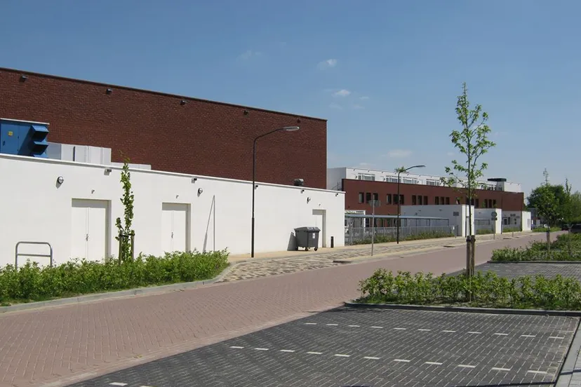 117817031 1766000286888957 7553205922033660092 o